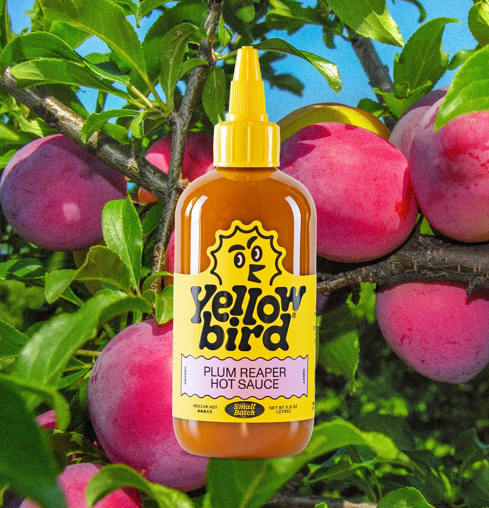 Plum Reaper Hot Sauce K5